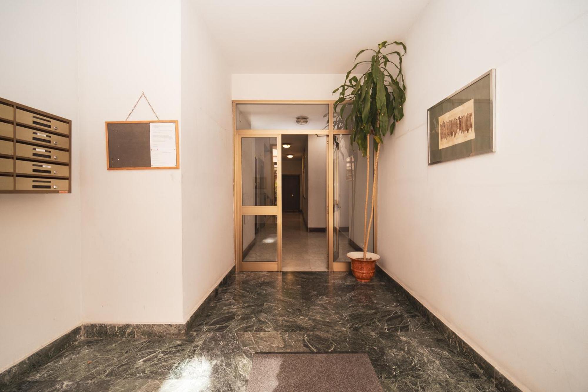 Hill Buddyrent's Apartment Rom